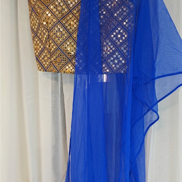 Lehenga - Picture 2 of 5